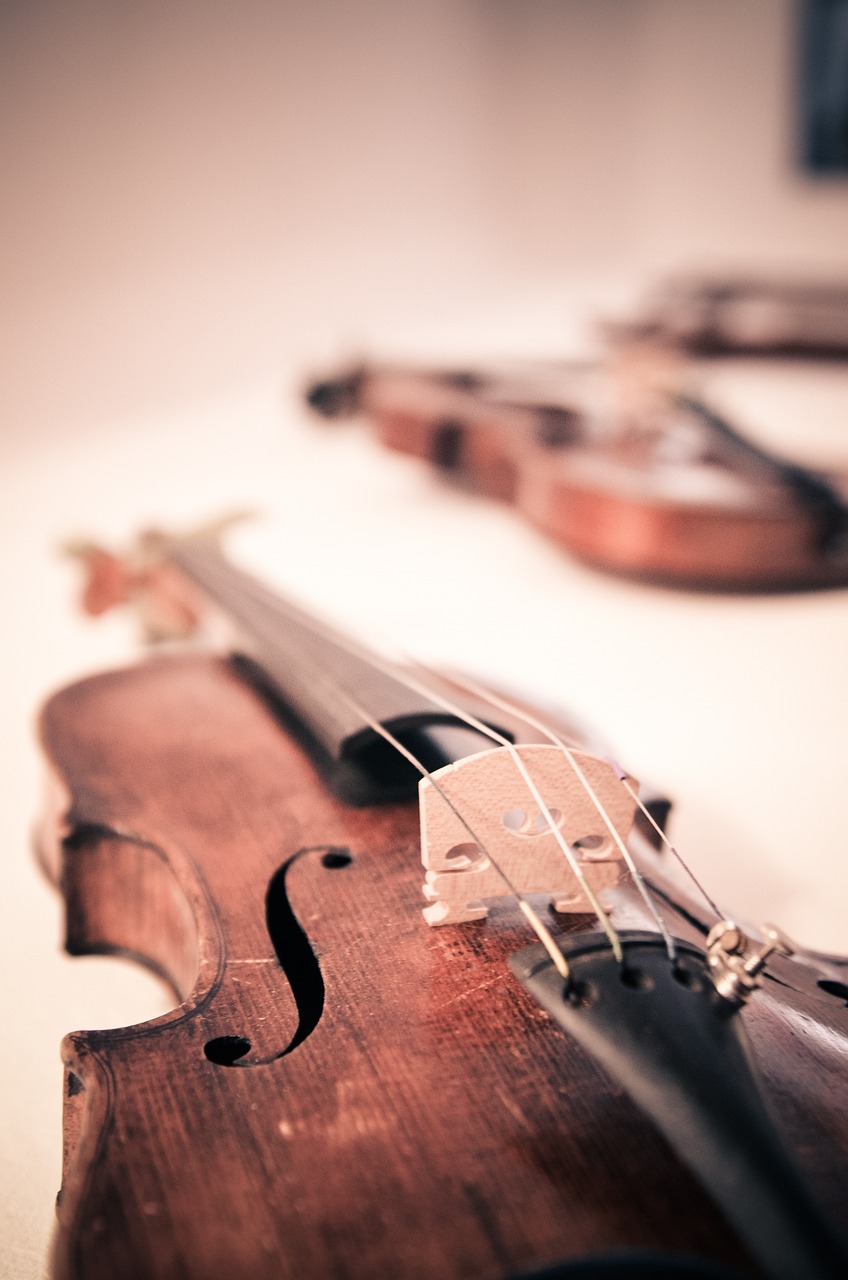 violin, music, musical instrument-338518.jpg